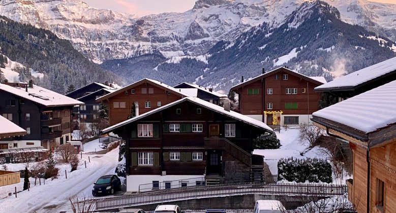 Ferienwohnung Lenk